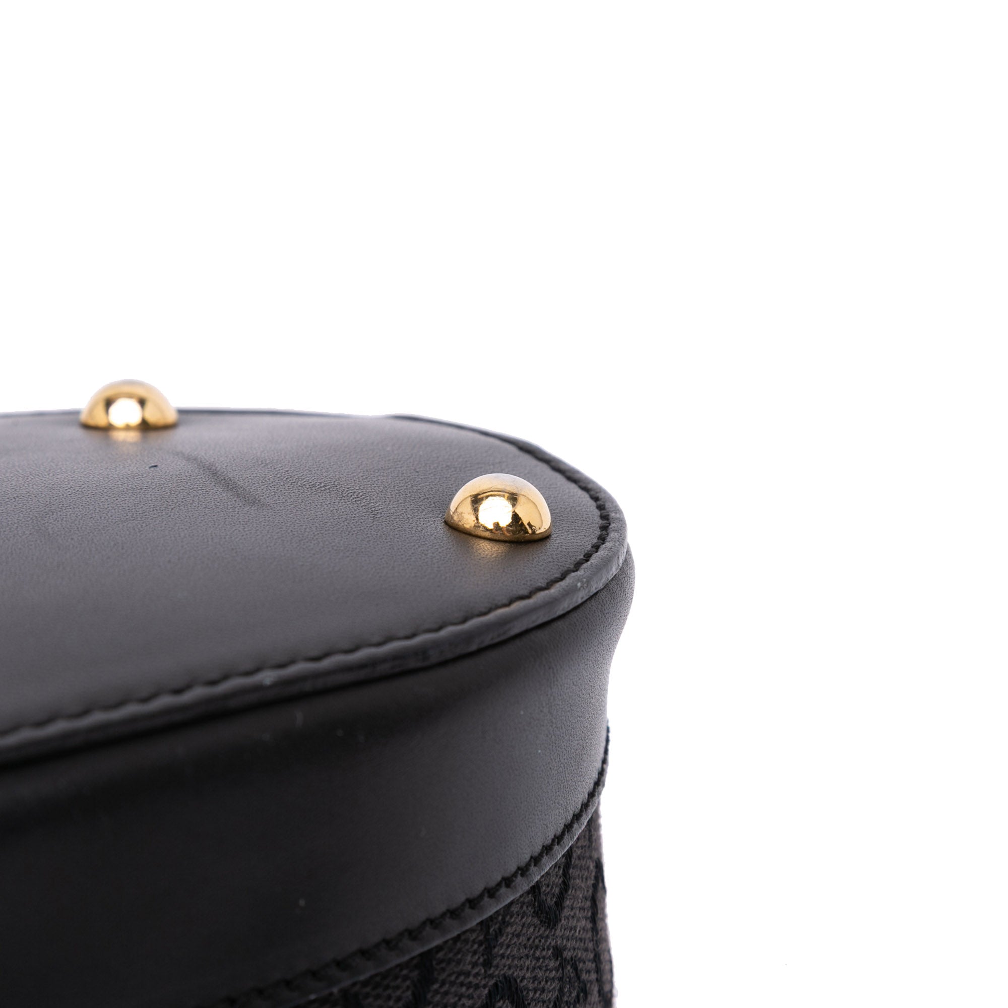 C Macadam Canvas Handbag
