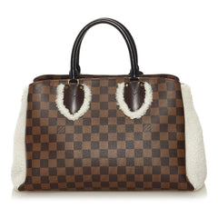 Damier Ebene Shearling Normandy_2