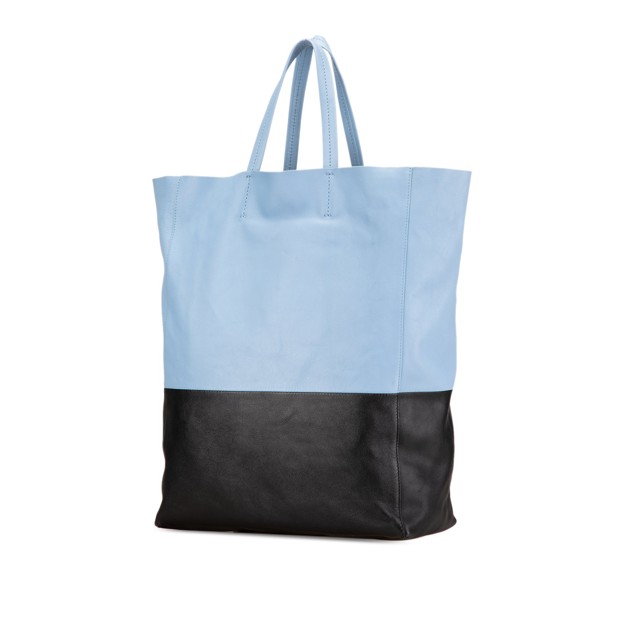Bicolor Leather Vertical Cabas Tote