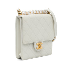 Small Chic Pearls Flap