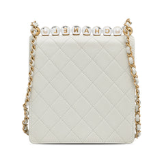 Small Chic Pearls Flap