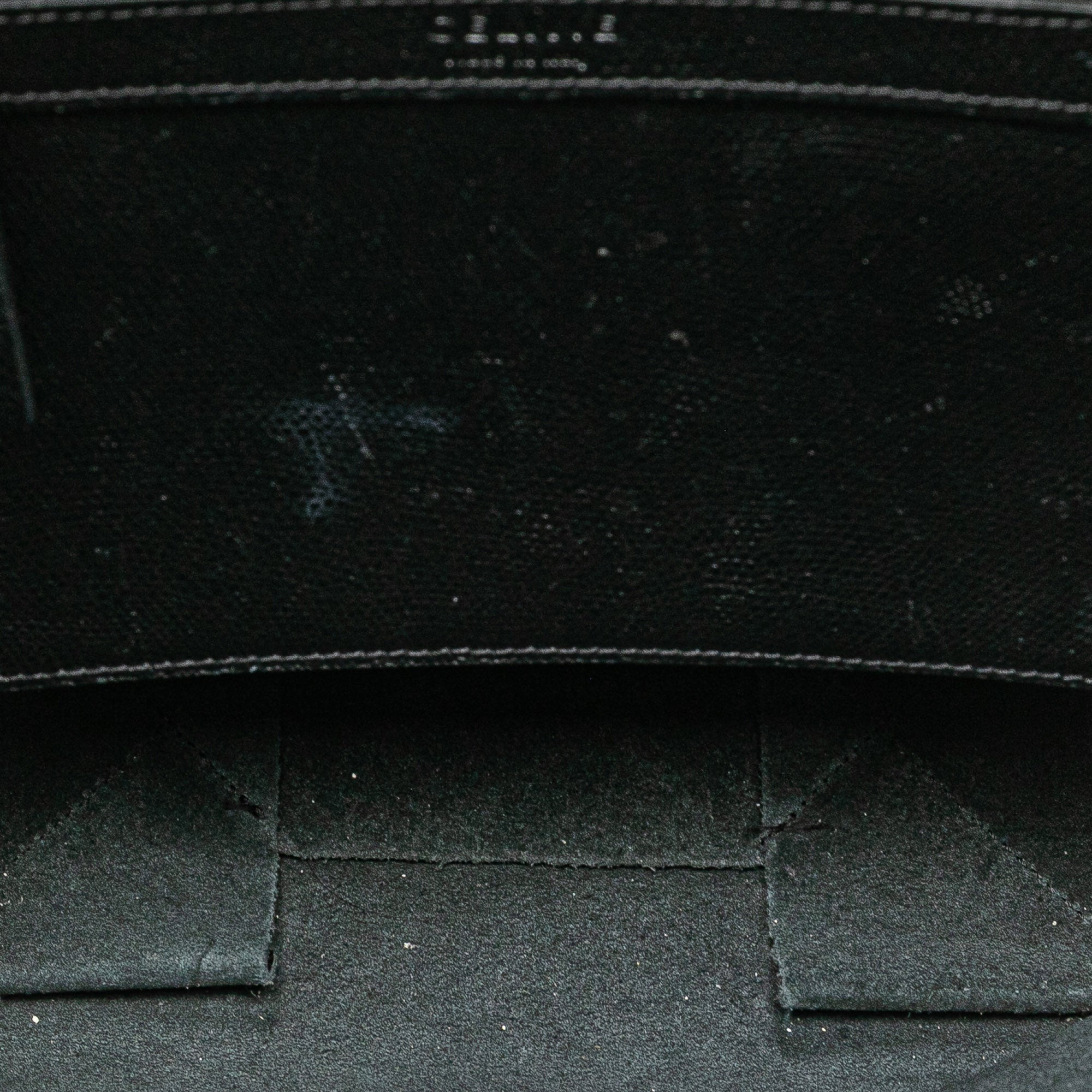 Small Grained Calfskin Vertical Cabas Satchel