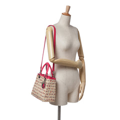Medium Woven Raffia Lady Dior