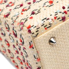 Medium Woven Raffia Lady Dior