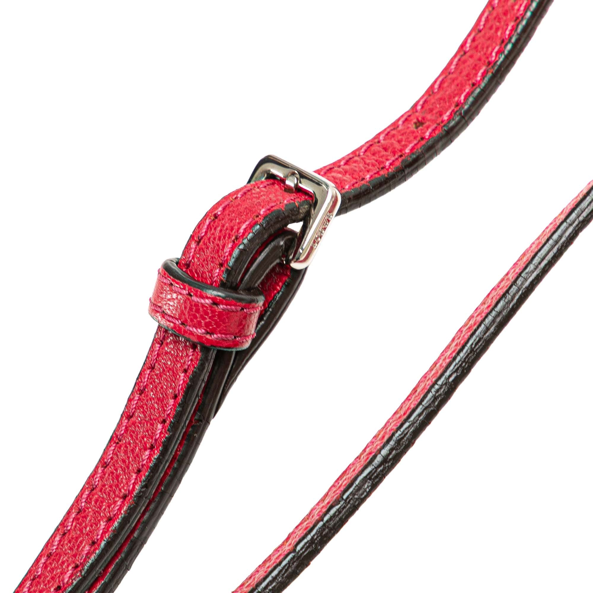 Leather Amazona 23
