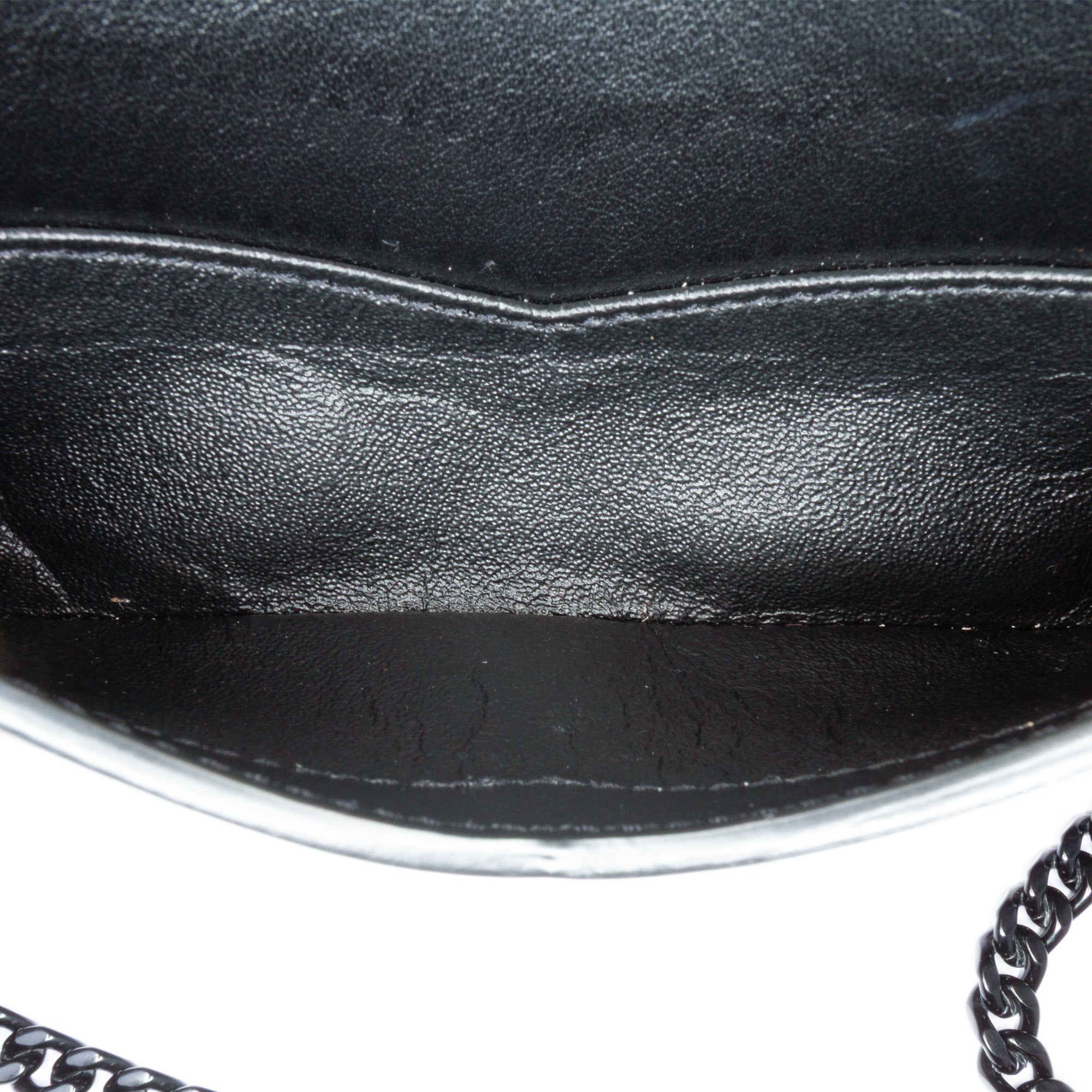 Canvas Metallic Tiger Print Monogram Lou Camera Bag