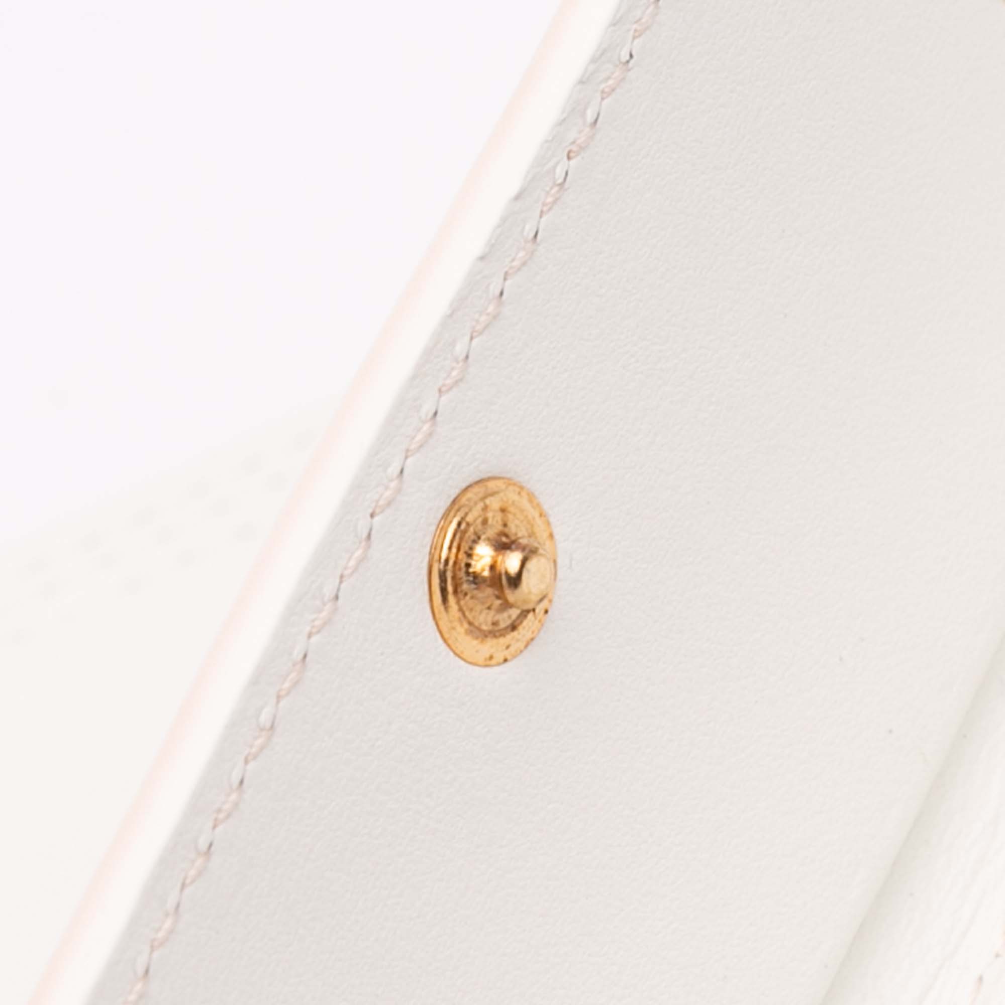 Calfskin Le Ciuciu Satchel