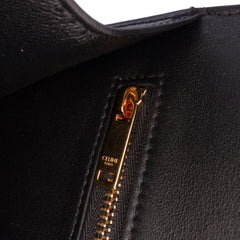 Shiny Calfskin College Triomphe
