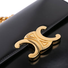 Shiny Calfskin College Triomphe