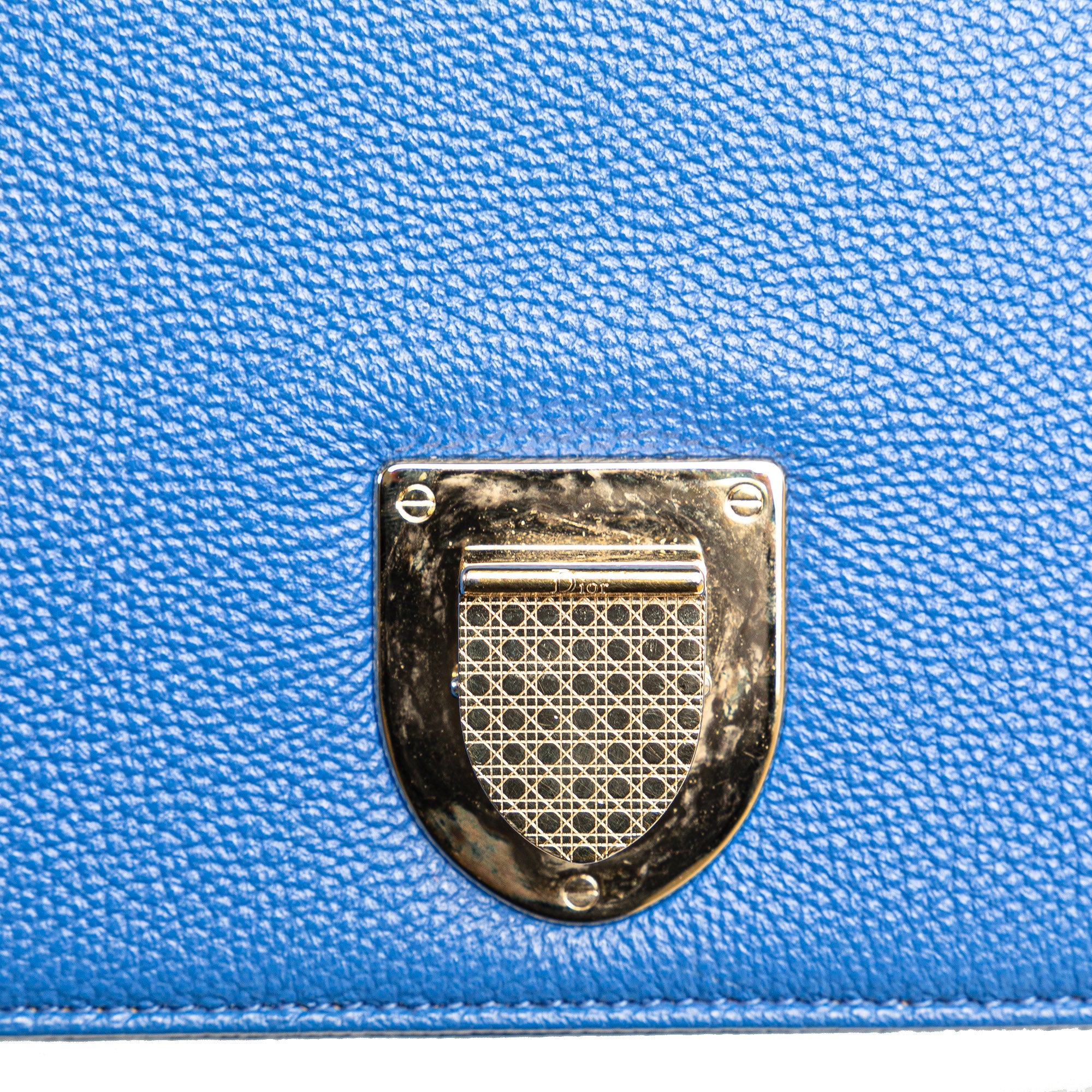 Medium Grained Calfskin Diorama Flap