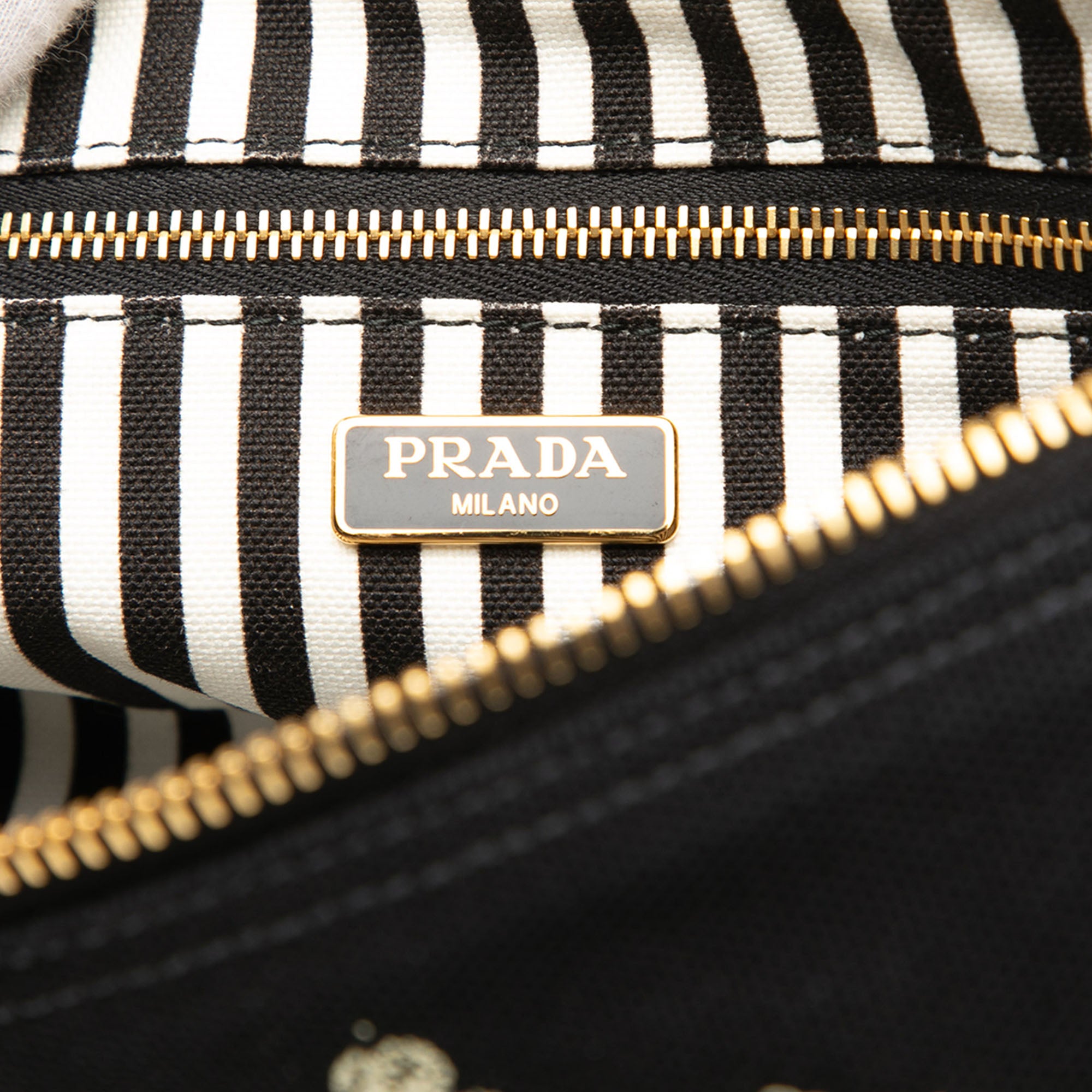 Canvas Canapa Logo Pouch