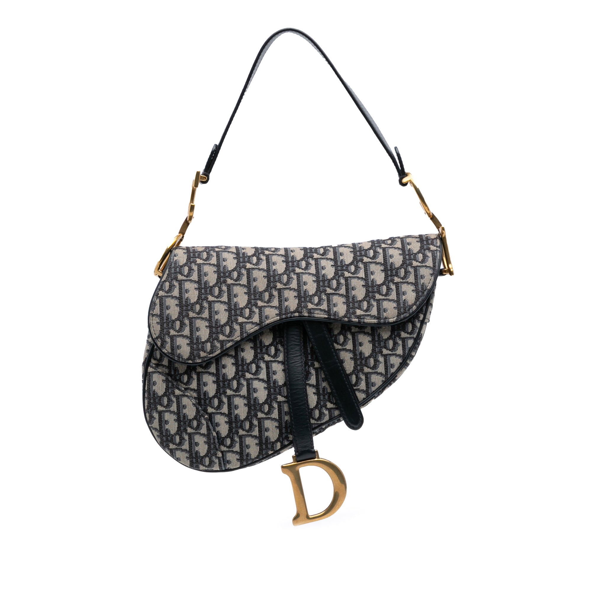 Oblique Canvas Saddle Bag