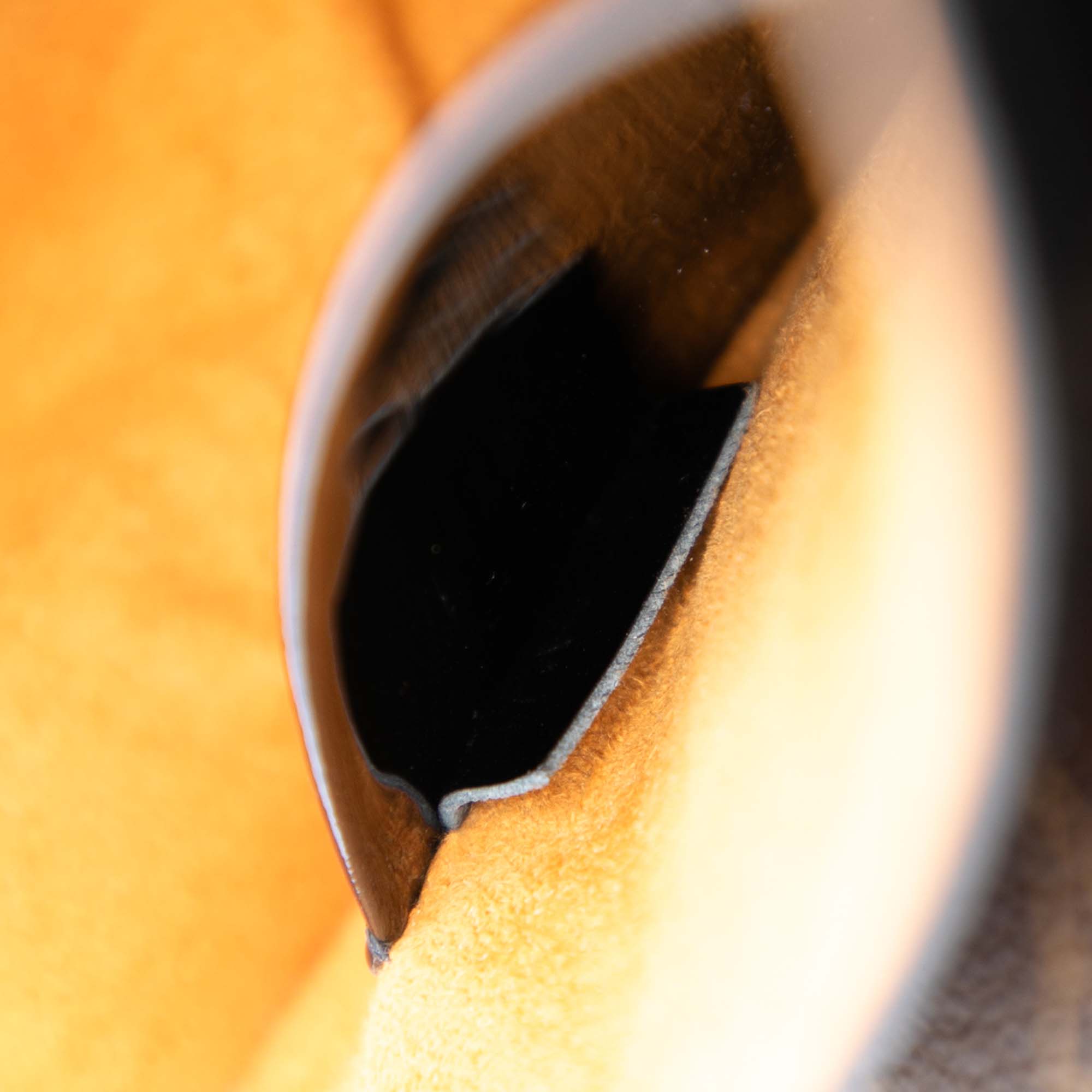 Monogram Vernis Wynwood