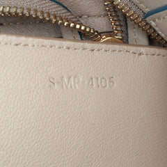 Mini Leather Belt Satchel
