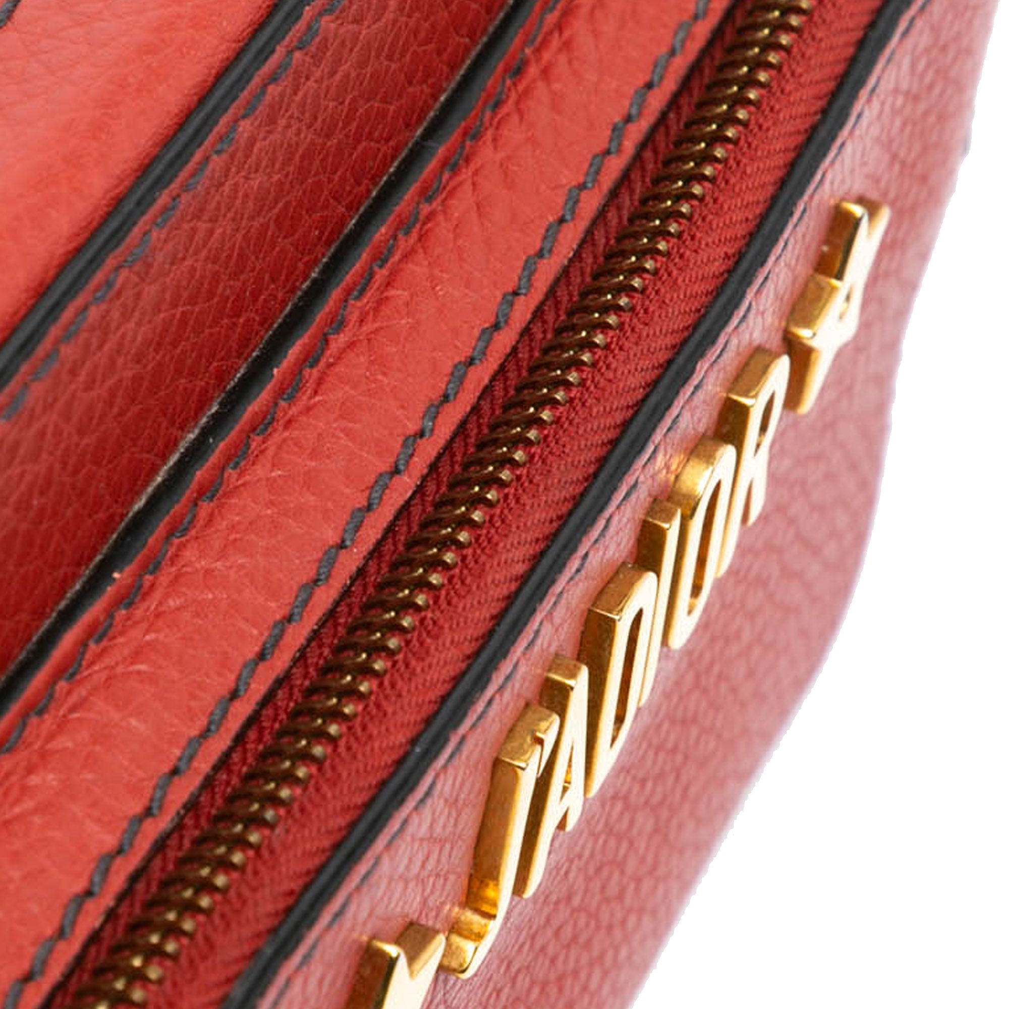 Leather JAdior Camera Bag