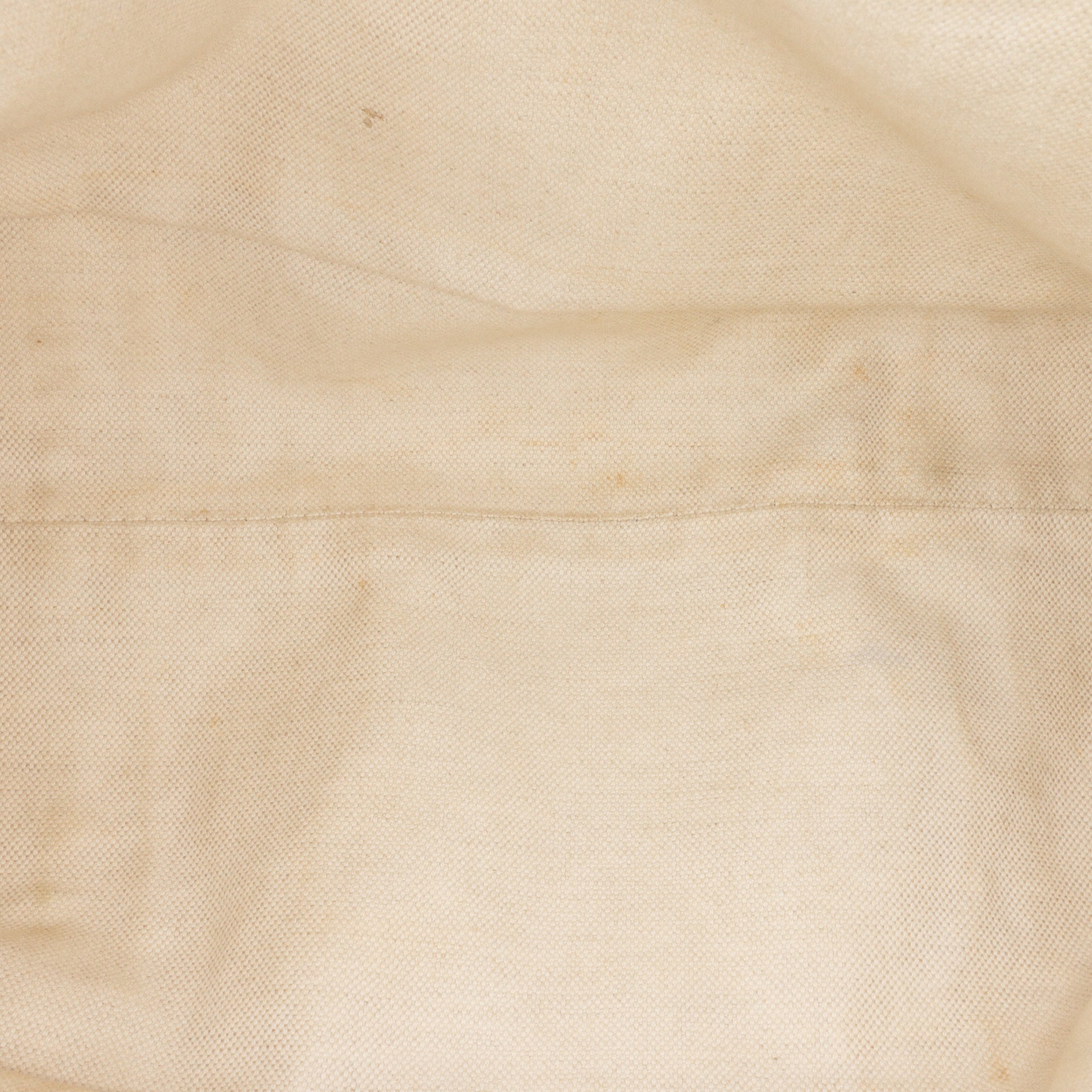 GG Canvas Miss GG Tote