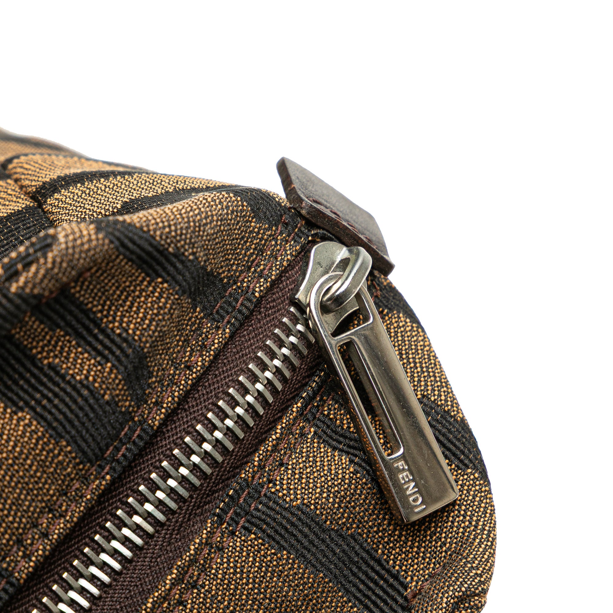 Zebra Print Canvas Handbag
