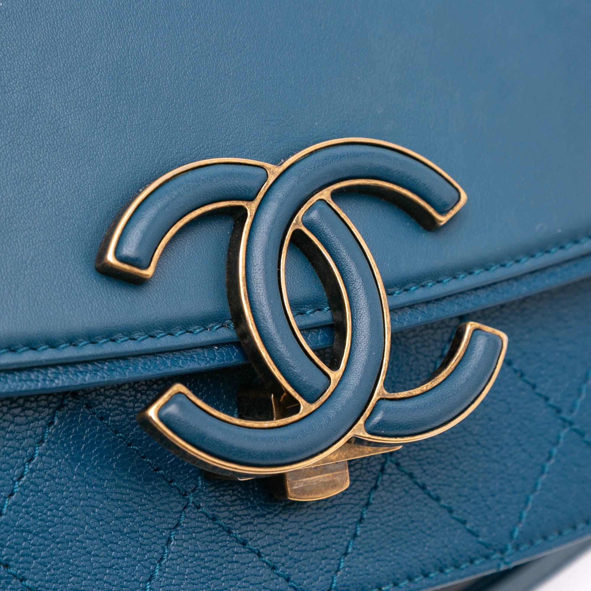 Medium Shiny Calfksin and Goatskin Coco Curve Flap