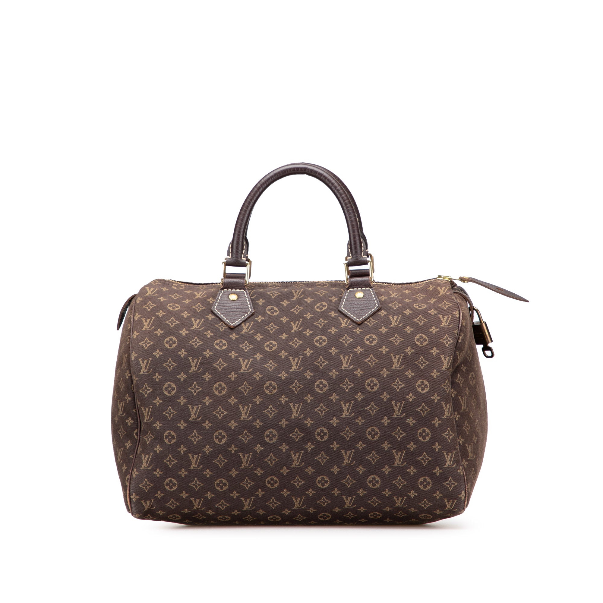 Monogram Mini Lin Speedy 30