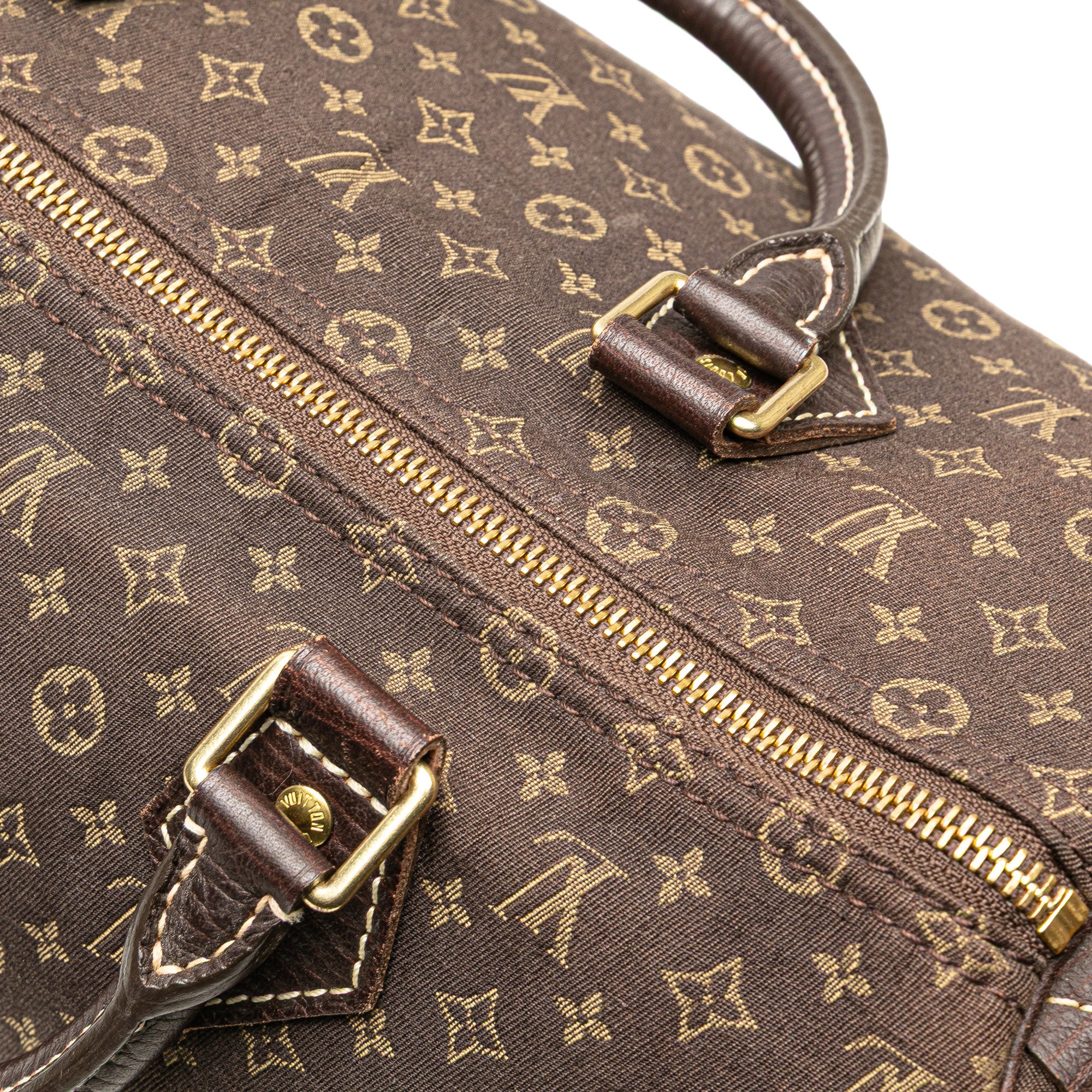 Monogram Mini Lin Speedy 30