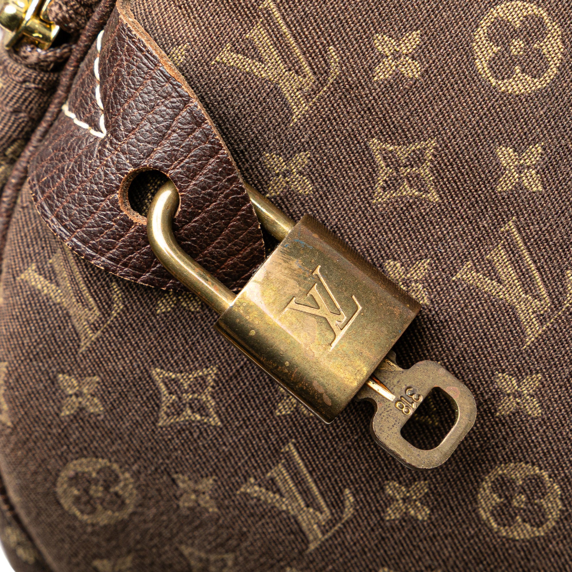 Monogram Mini Lin Speedy 30