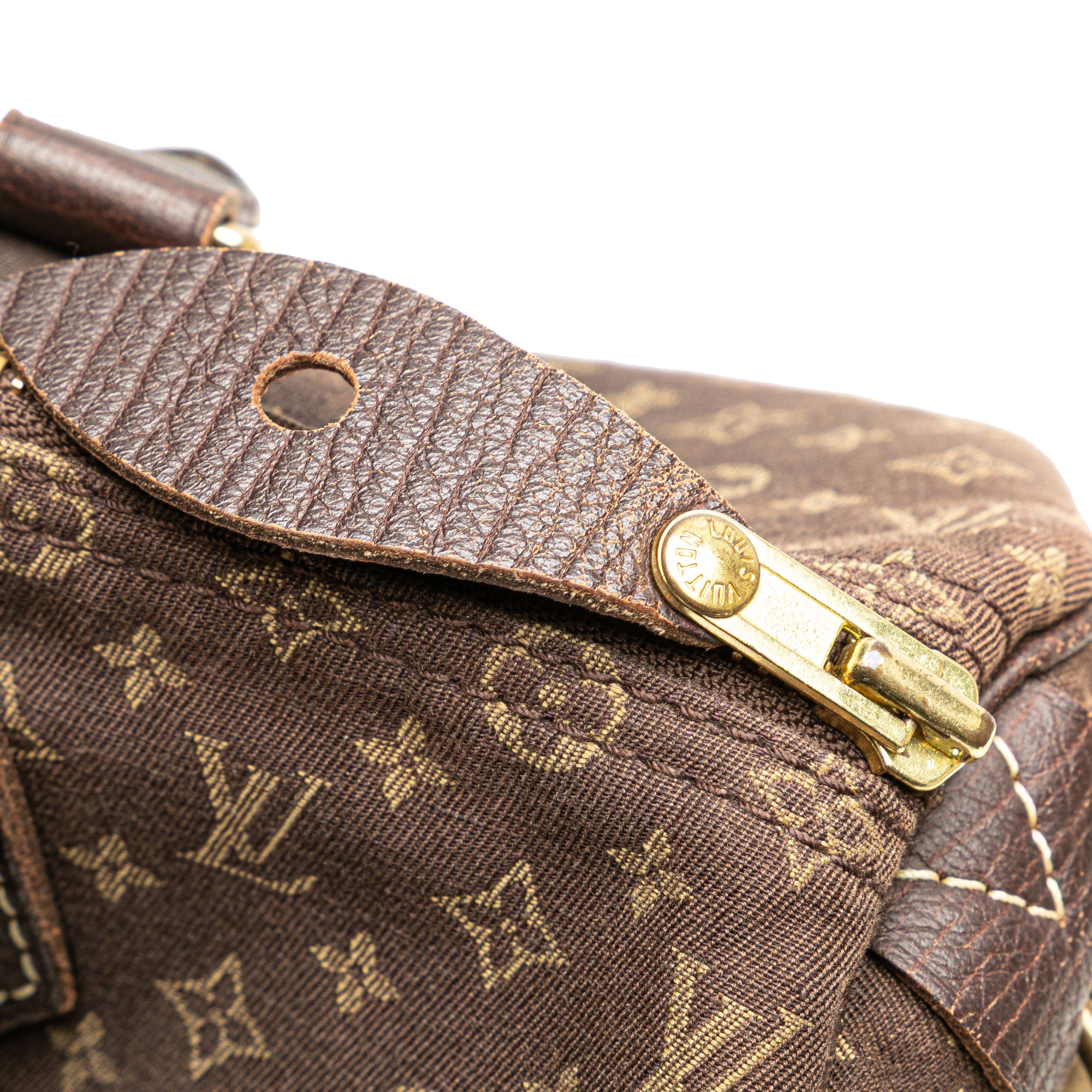 Monogram Mini Lin Speedy 30
