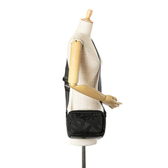 TB Monogram Canvas Paddy Crossbody