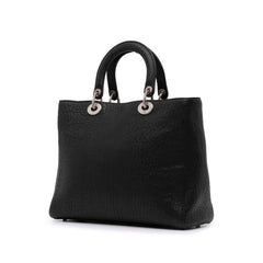 Large Canyon Grained Lambskin Lady Dior