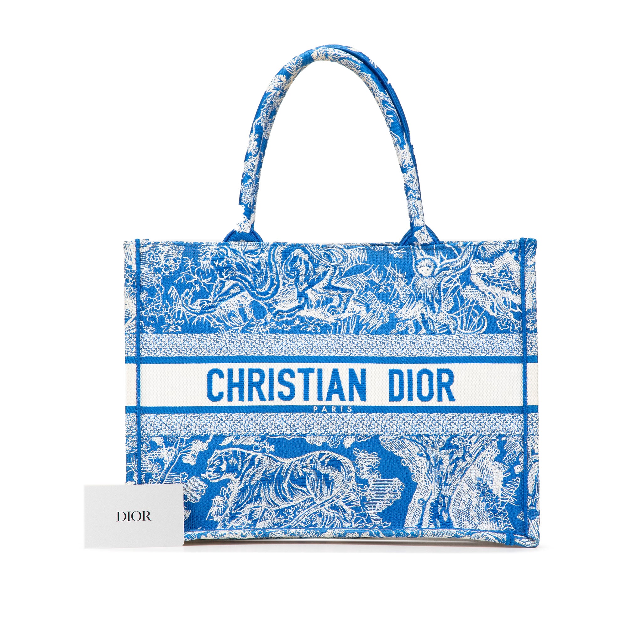 Medium Canvas Embroidered Dioriviera Toile De Jouy Book Tote