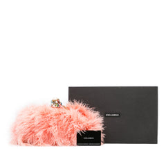 Vanda Feather Clutch on Chain_9