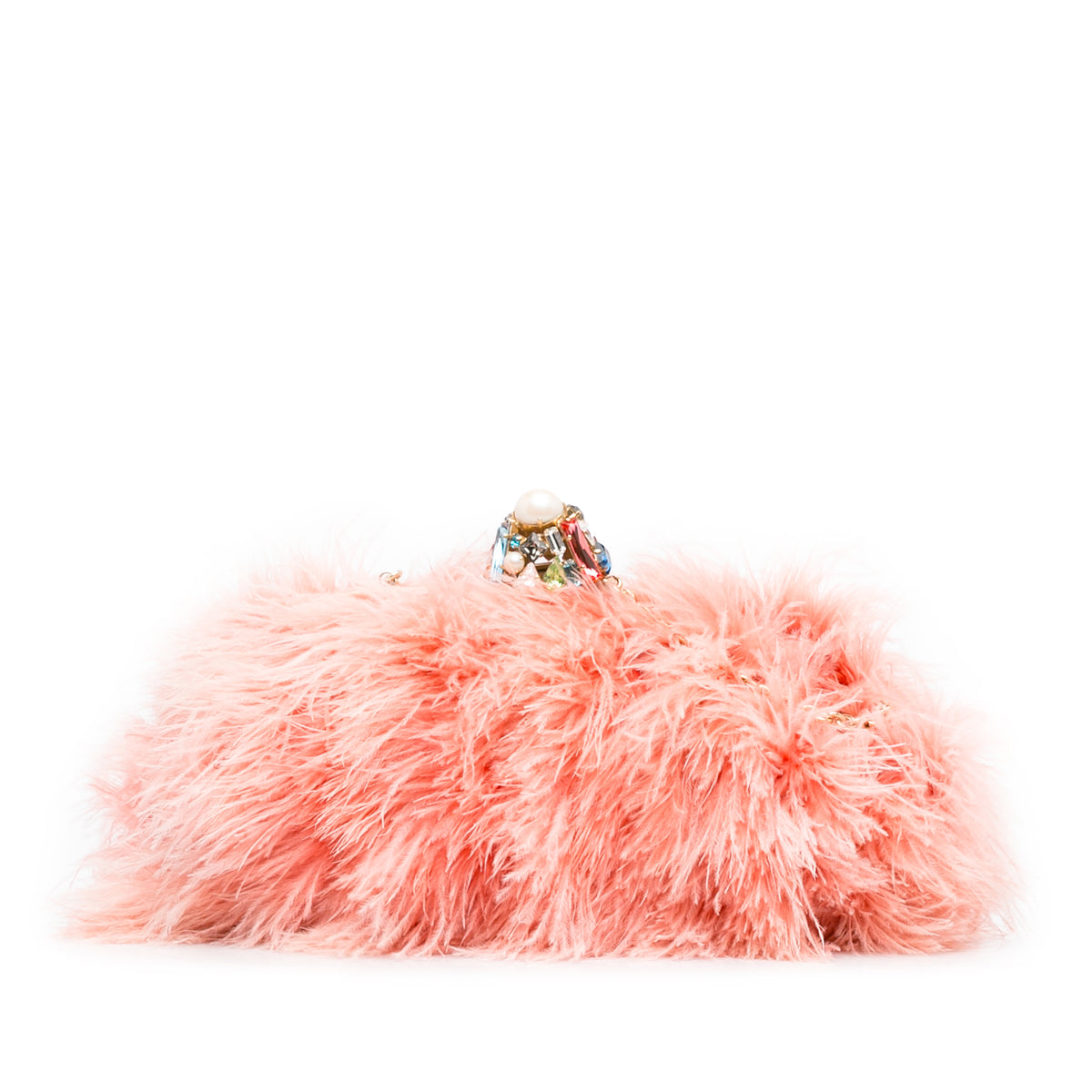 Vanda Feather Clutch on Chain_0