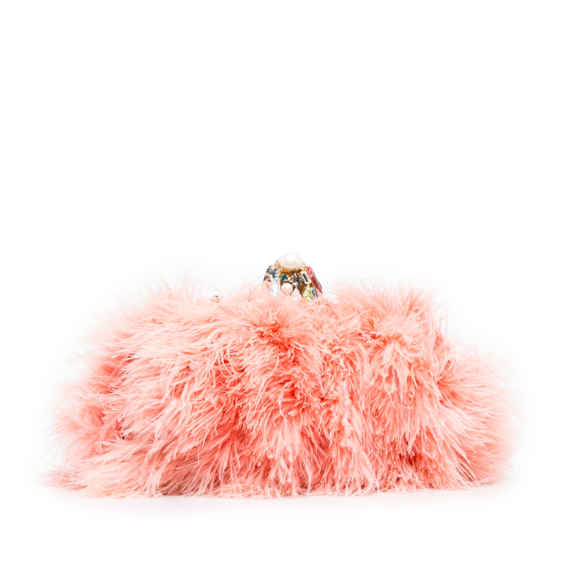 Vanda Feather Clutch on Chain_1