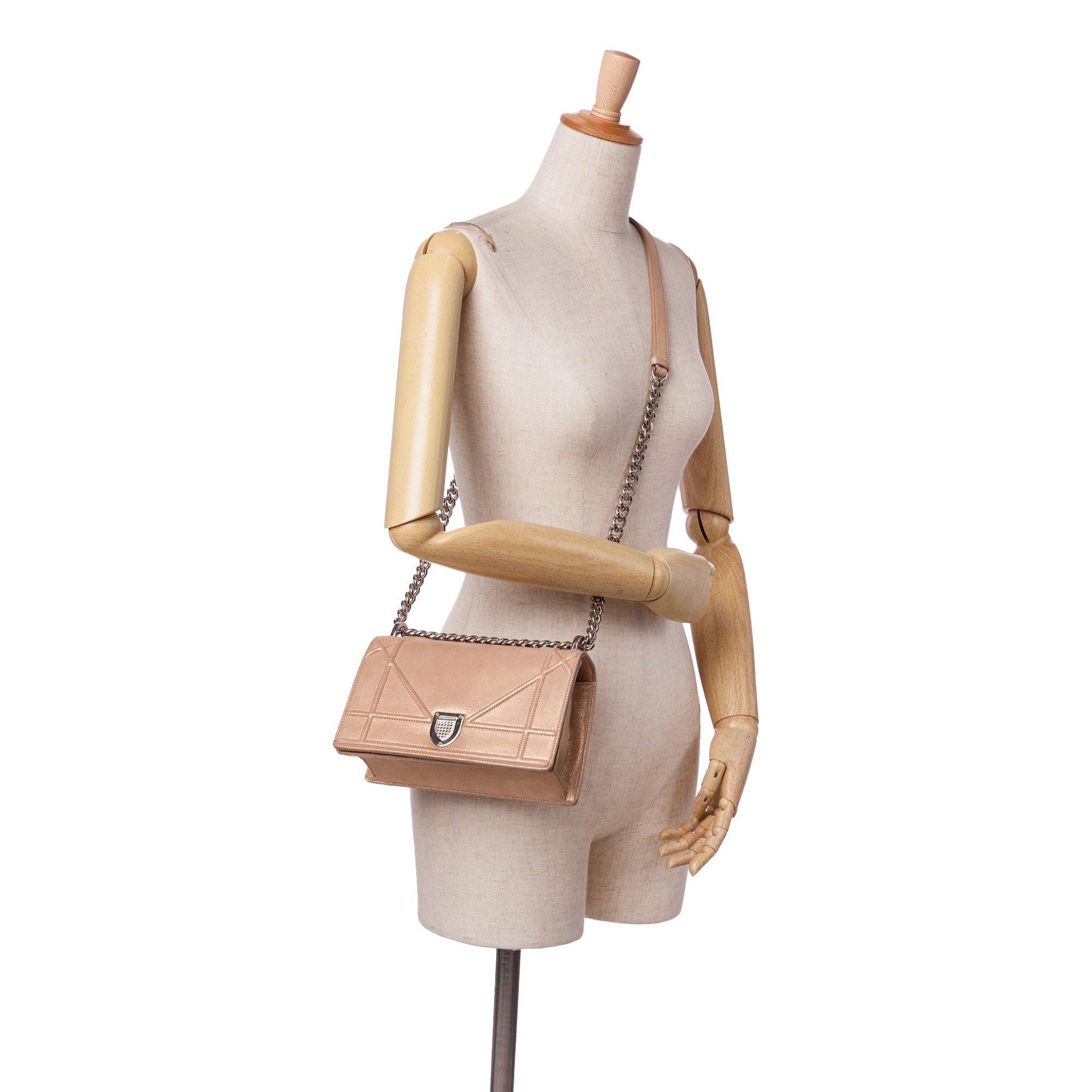 Small Iridescent Lambskin Diorama Flap