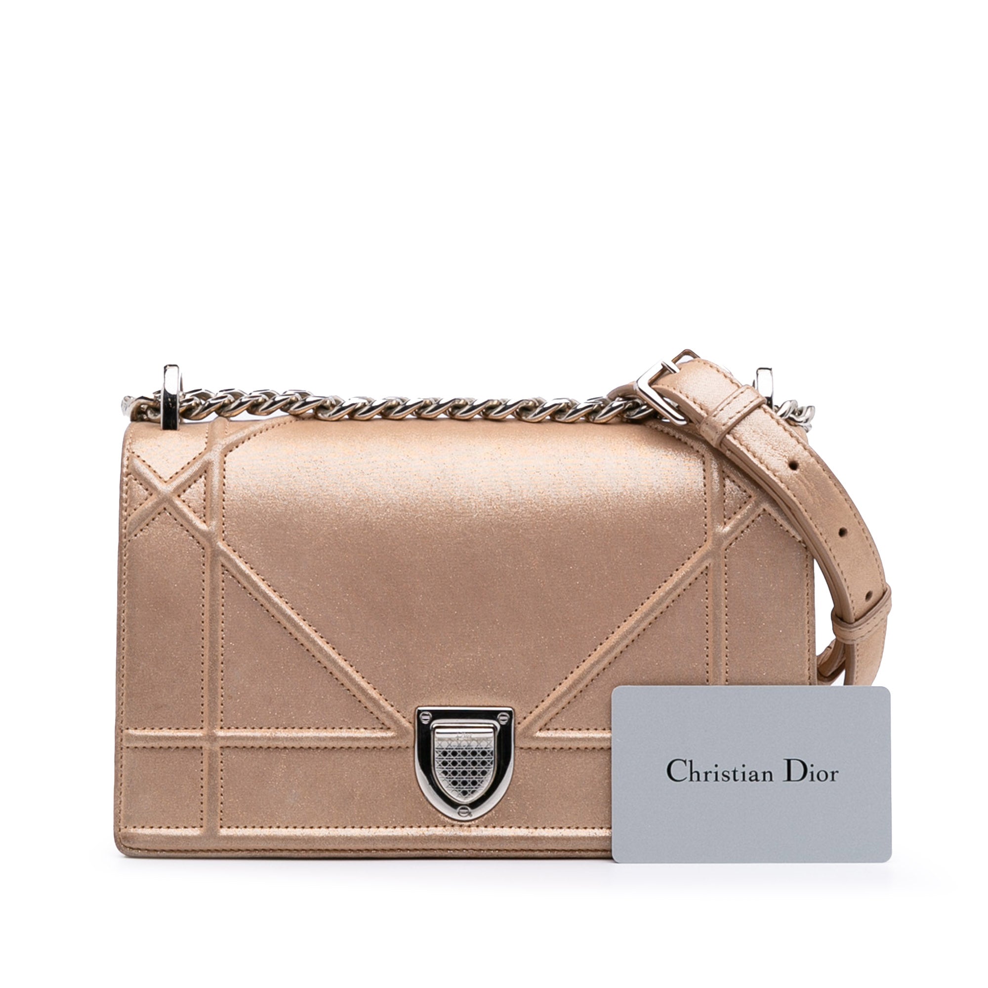 Small Iridescent Lambskin Diorama Flap