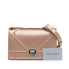 Small Iridescent Lambskin Diorama Flap