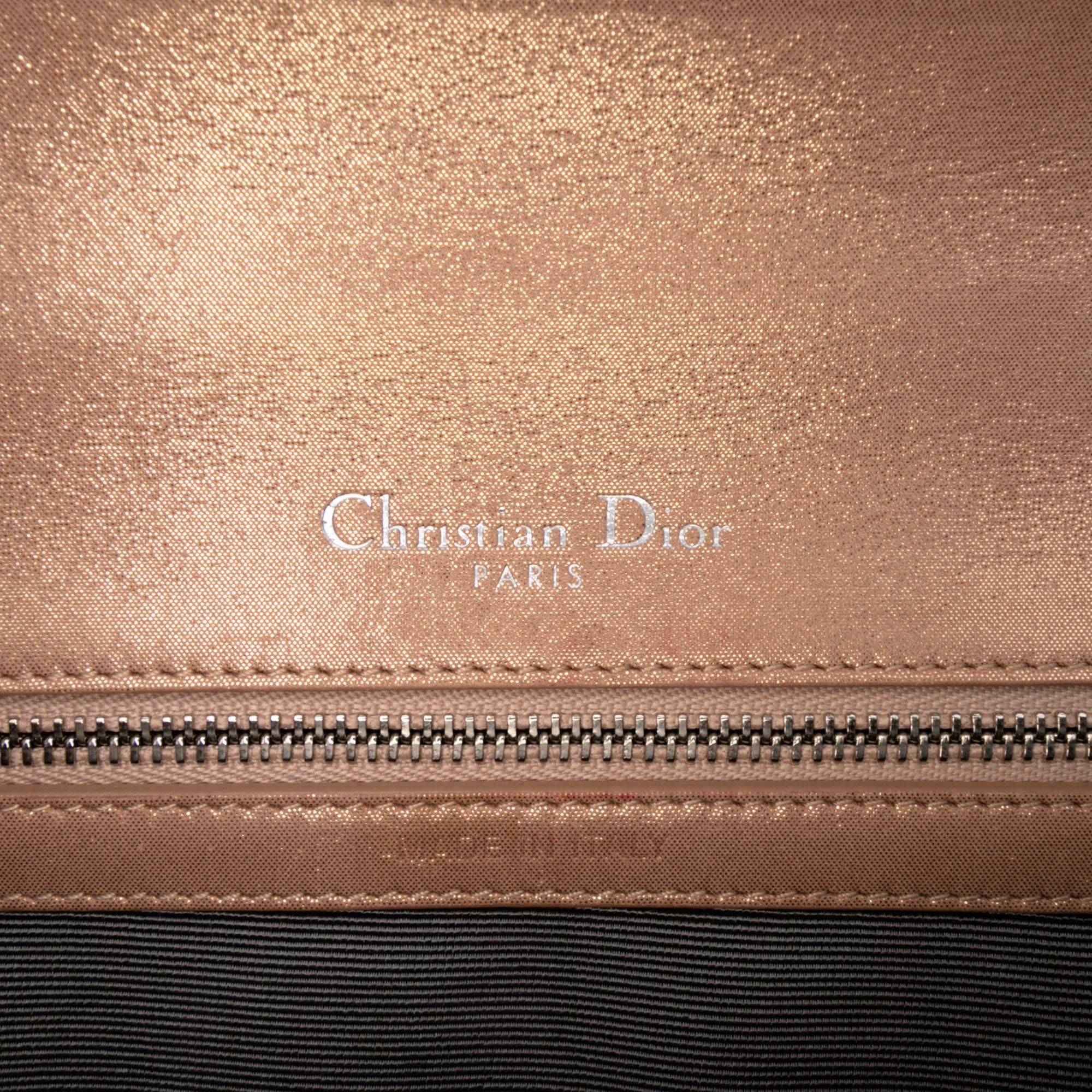 Small Iridescent Lambskin Diorama Flap