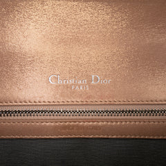 Small Iridescent Lambskin Diorama Flap