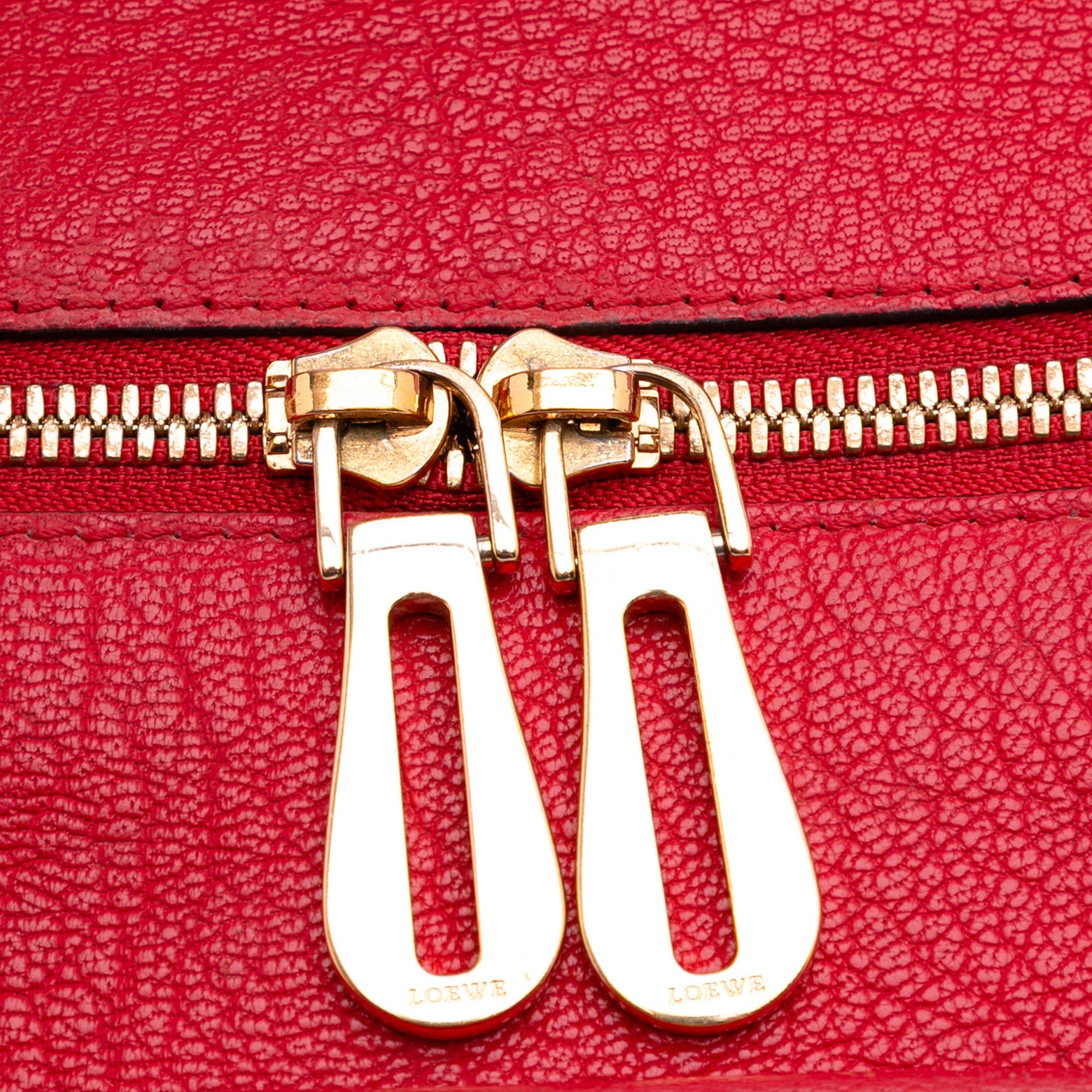 Leather Amazona 36