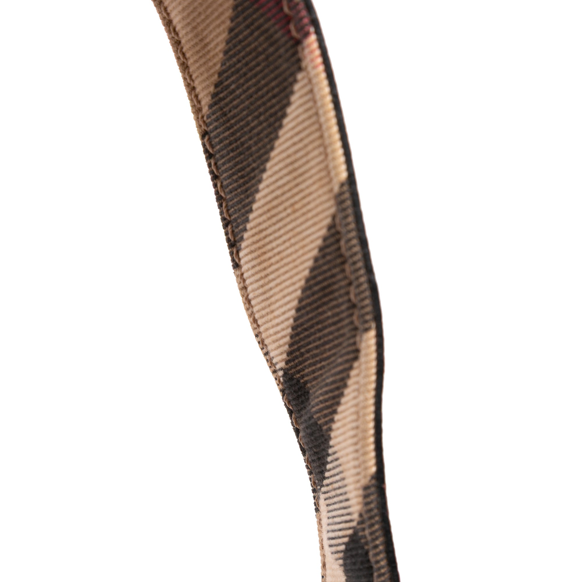 Medium Grained Calfskin Buckle Tote