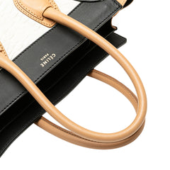 Mini Tricolor Leather Luggage Tote