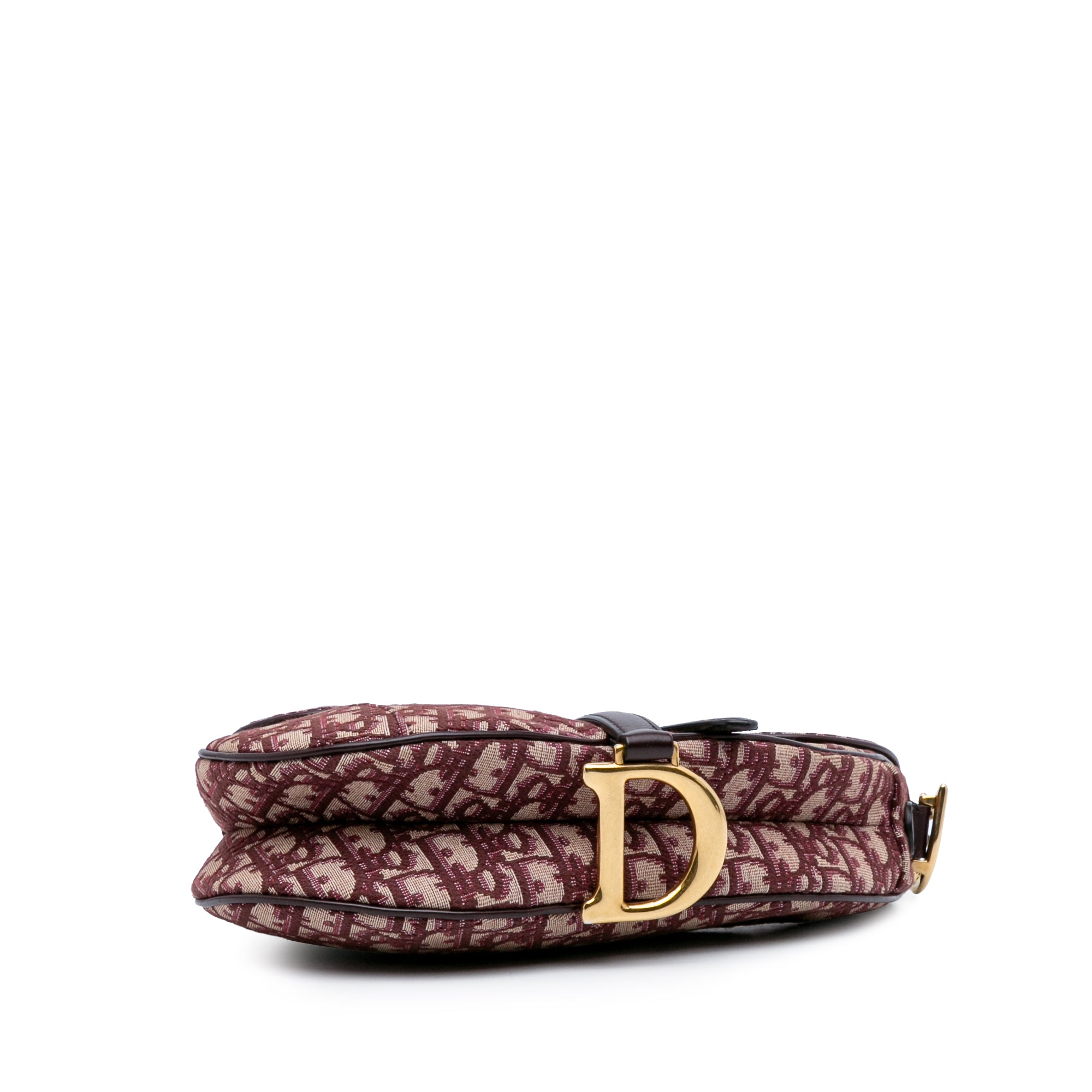 Oblique Canvas Saddle Bag