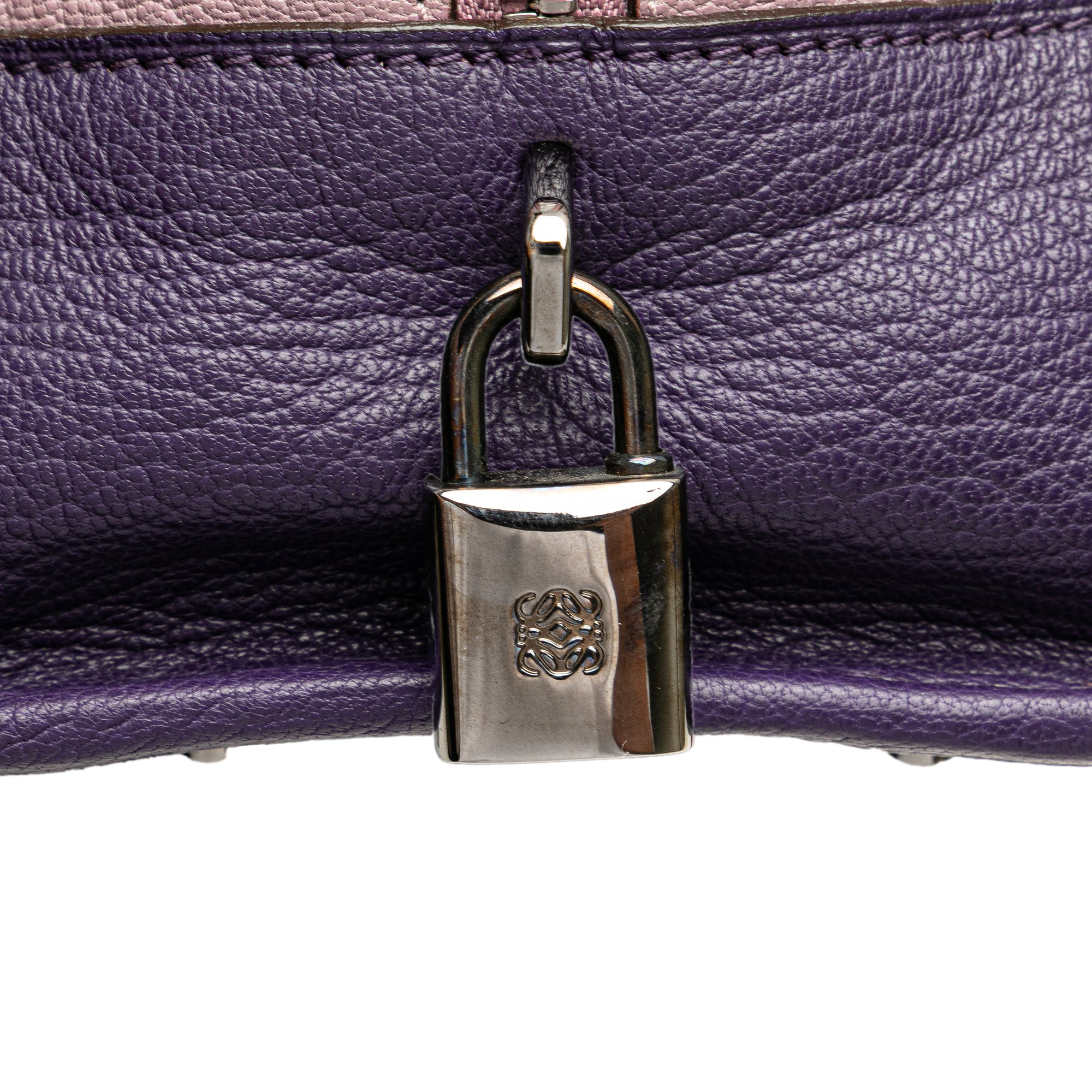 Tricolor Goatskin Amazona 28