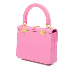 Mini Acrylic Sylvie 1969 Top Handle Bag