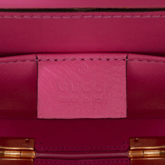 Mini Acrylic Sylvie 1969 Top Handle Bag