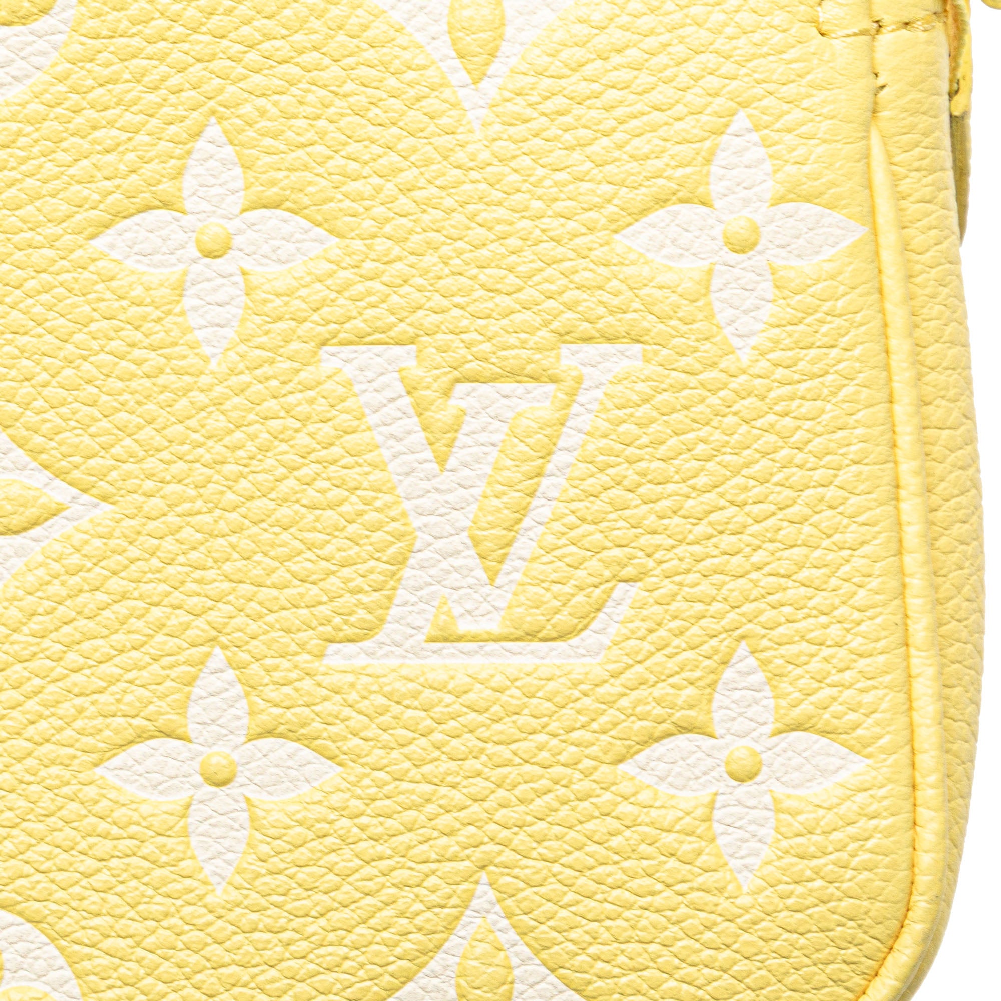 Bicolor Monogram Empreinte Mini Pochette Accessoires