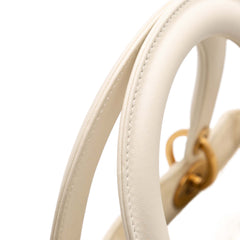 Medium Calfskin Embroidered Astrology Lady Dior