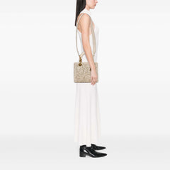 Medium Calfskin Embroidered Astrology Lady Dior