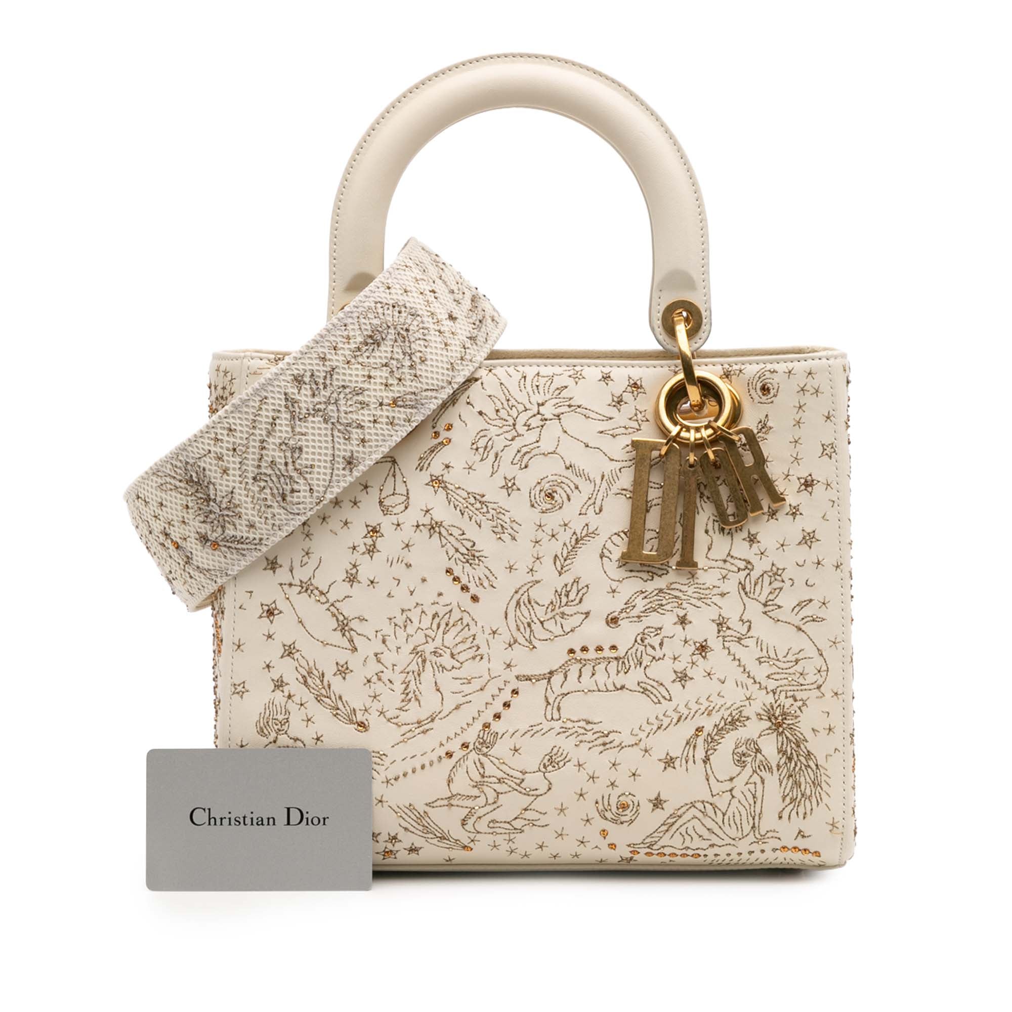 Medium Calfskin Embroidered Astrology Lady Dior