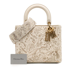 Medium Calfskin Embroidered Astrology Lady Dior