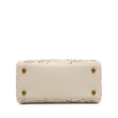 Medium Calfskin Embroidered Astrology Lady Dior